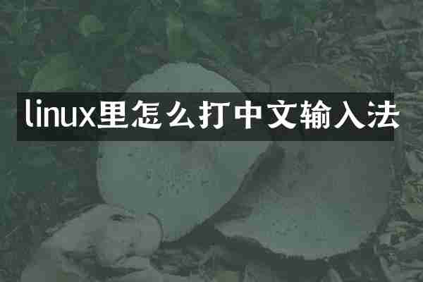 linux里怎么打中文输入法