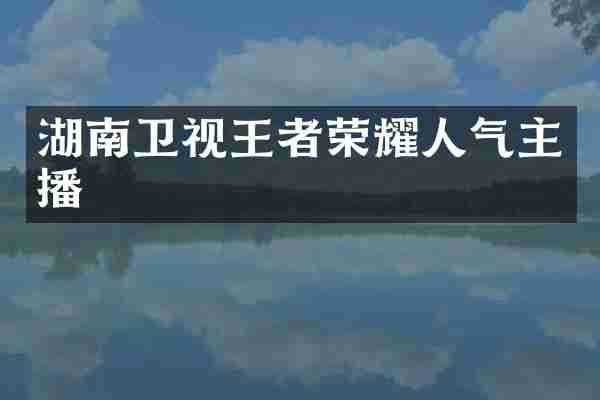 湖南卫视王者荣耀人气主播