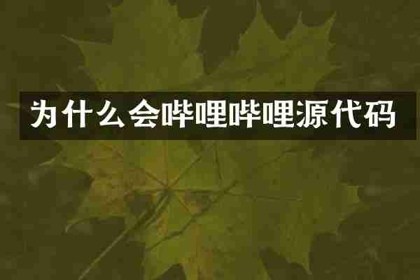 为什么会哔哩哔哩源代码