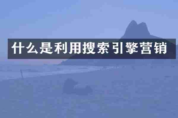 什么是利用搜索引擎营销