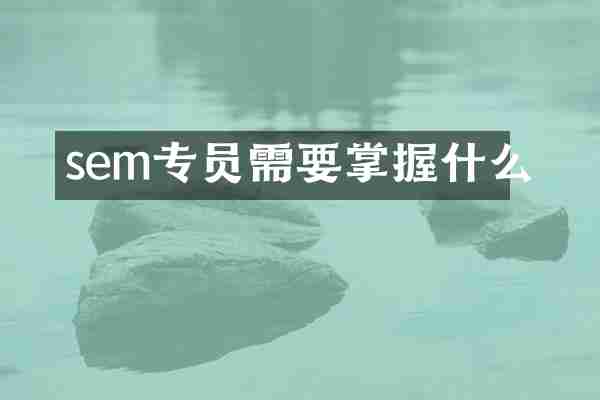 sem专员需要掌握什么