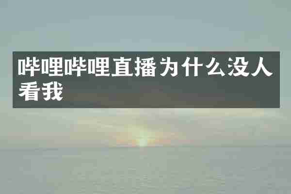 哔哩哔哩直播为什么没人看我