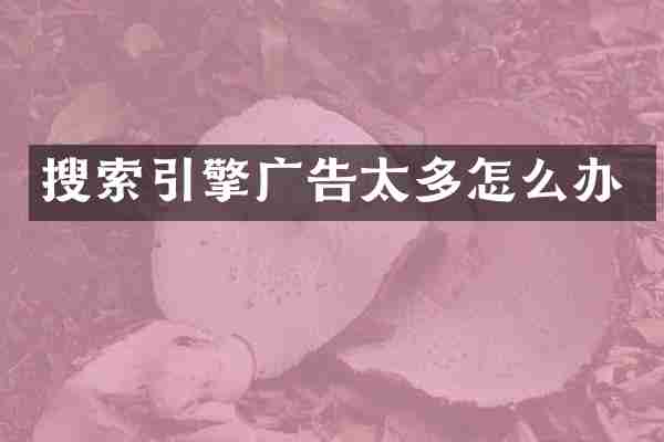 搜索引擎广告太多怎么办