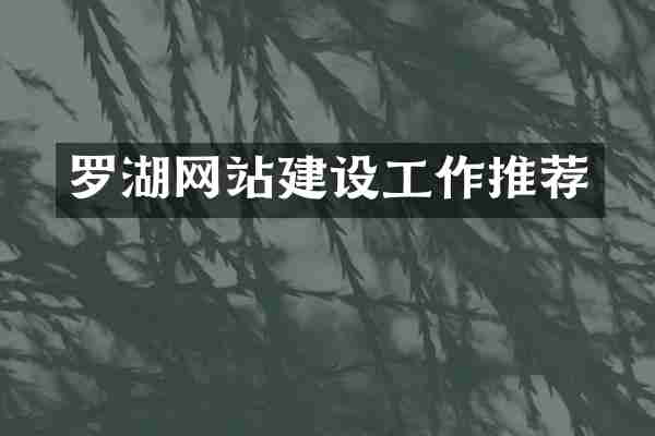 罗湖网站建设工作推荐