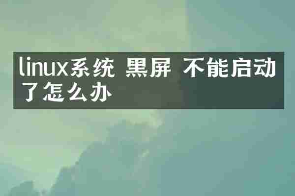 linux系统 黑屏 不能启动不了怎么办