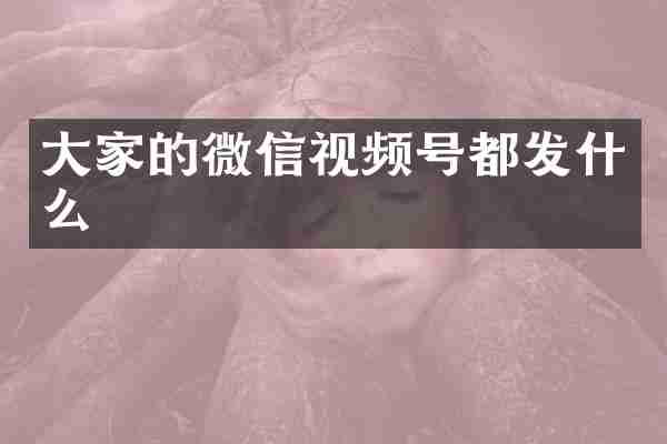 大家的微信视频号都发什么