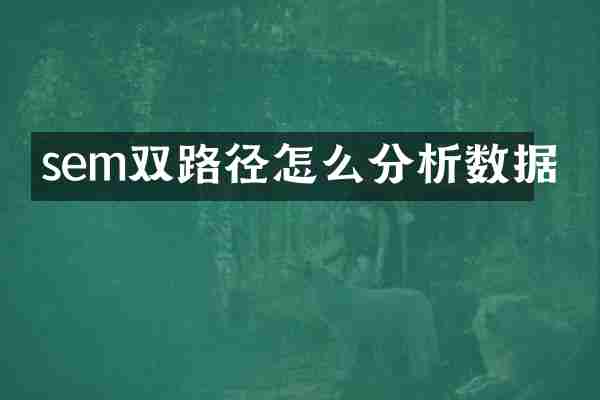 sem双路径怎么分析数据