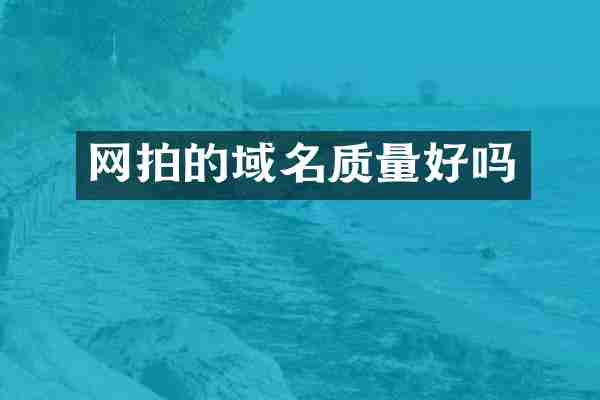 网拍的域名质量好吗