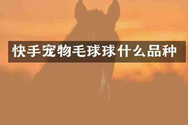 快手宠物毛球球什么品种