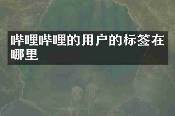 哔哩哔哩的用户的标签在哪里