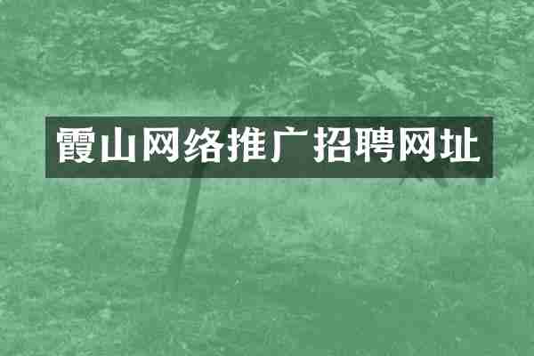 霞山网络推广招聘网址