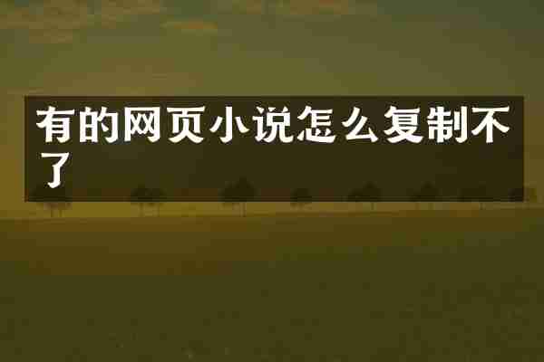 有的网页小说怎么复制不了