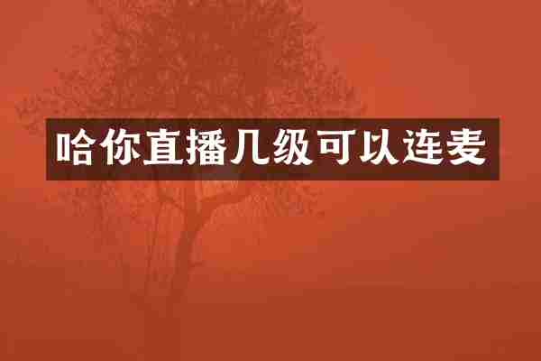 哈你直播几级可以连麦