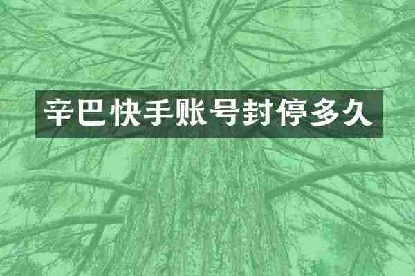辛巴快手账号封停多久