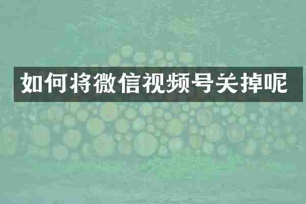 如何将微信视频号关掉呢