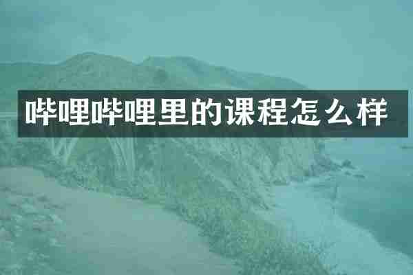 哔哩哔哩里的课程怎么样
