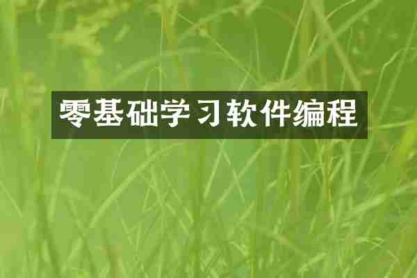 零基础学习软件编程