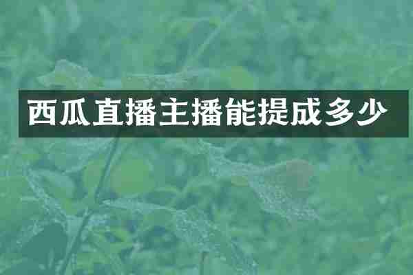 西瓜直播主播能提成多少