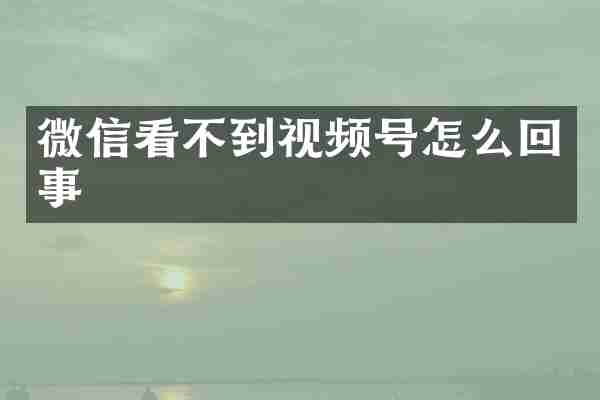 微信看不到视频号怎么回事