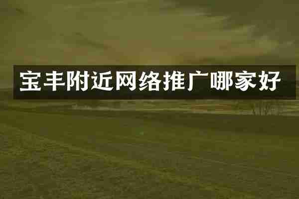 宝丰附近网络推广哪家好