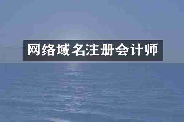 网络域名注册会计师