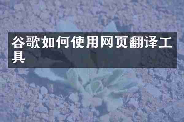 谷歌如何使用网页翻译工具