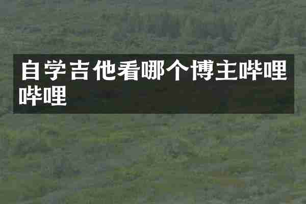 自学吉他看哪个博主哔哩哔哩