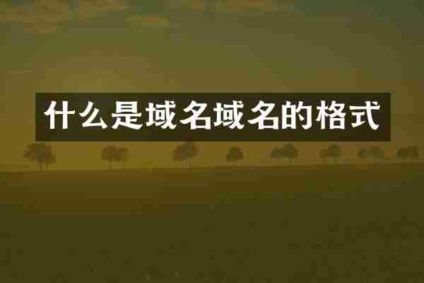 什么是域名域名的格式