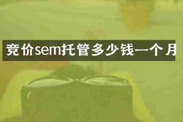 竞价sem托管多少钱一个月