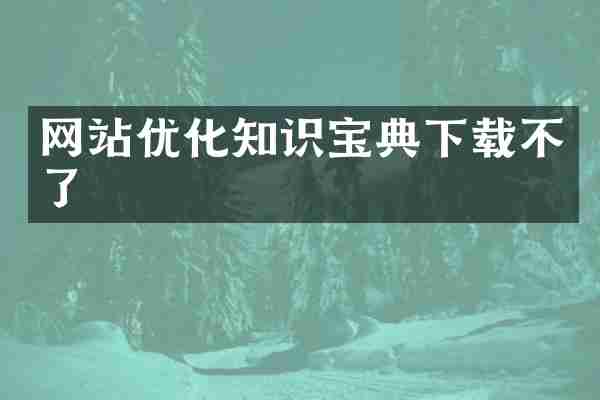 网站优化知识宝典下载不了