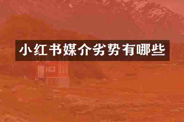 小红书媒介劣势有哪些