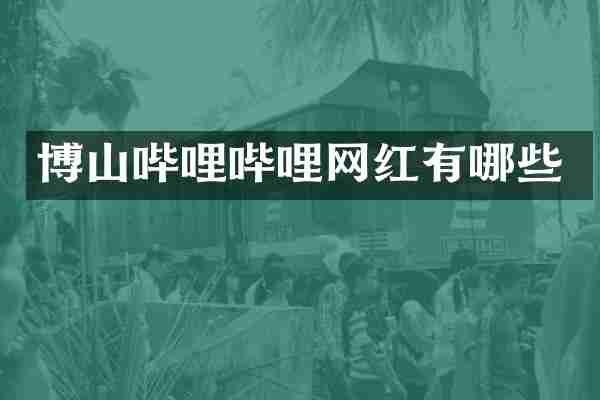 博山哔哩哔哩网红有哪些