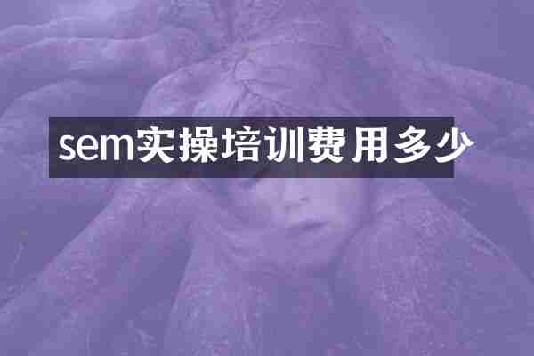 sem实操培训费用多少