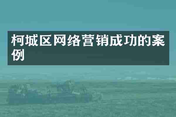 柯城区网络营销成功的案例