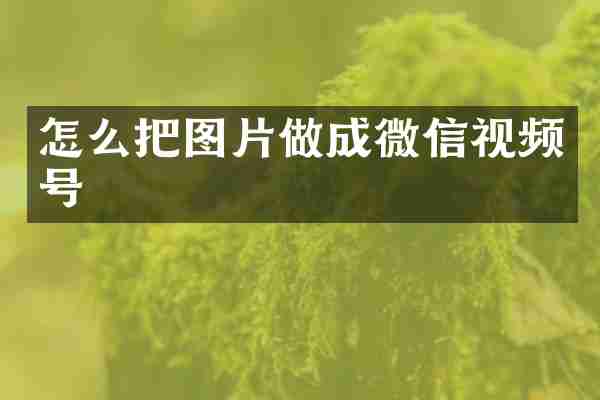 怎么把图片做成微信视频号
