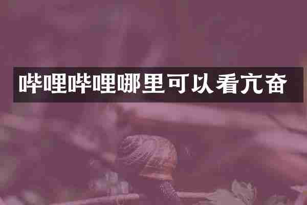 哔哩哔哩哪里可以看亢奋