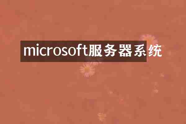 microsoft服务器系统