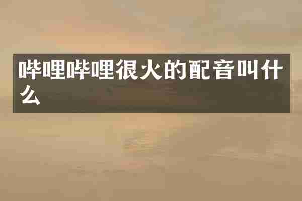 哔哩哔哩很火的配音叫什么