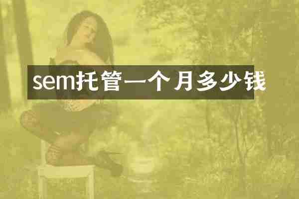 sem托管一个月多少钱