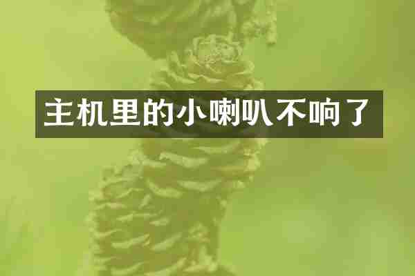 主机里的小喇叭不响了