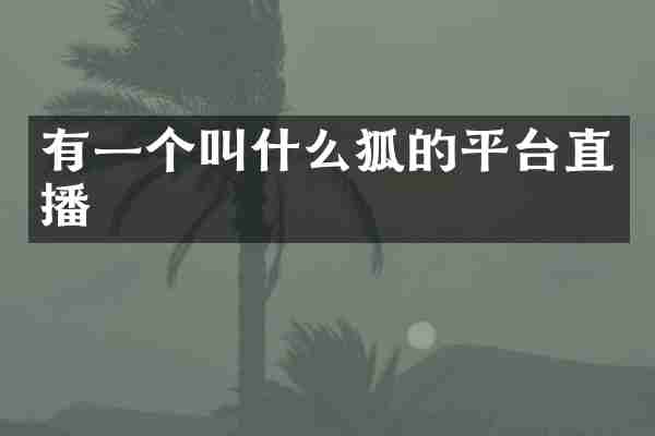 有一个叫什么狐的平台直播