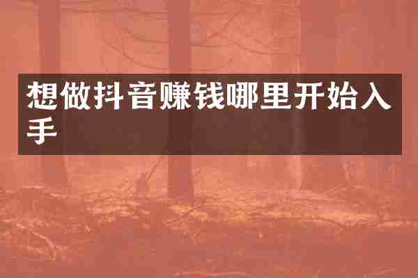 想做抖音赚钱哪里开始入手