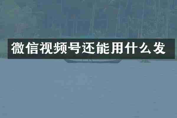 微信视频号还能用什么发