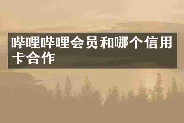 哔哩哔哩会员和哪个信用卡合作