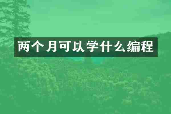 两个月可以学什么编程