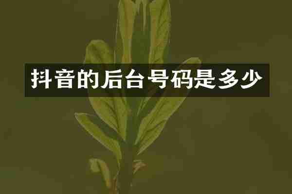 抖音的后台号码是多少