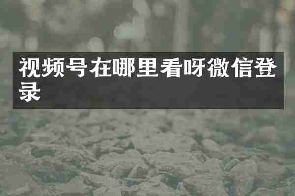 视频号在哪里看呀微信登录
