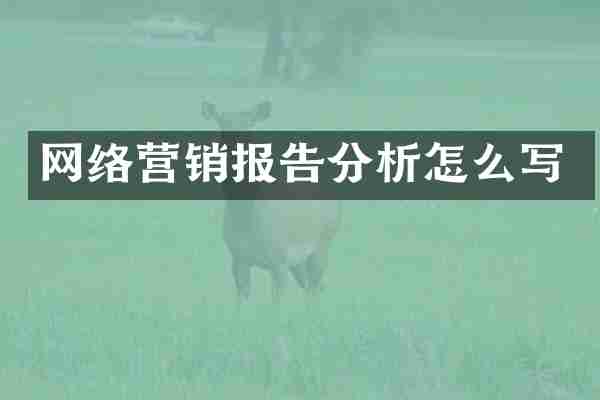 网络营销报告分析怎么写