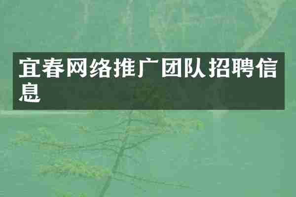 宜春网络推广团队招聘信息