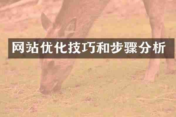网站优化技巧和步骤分析